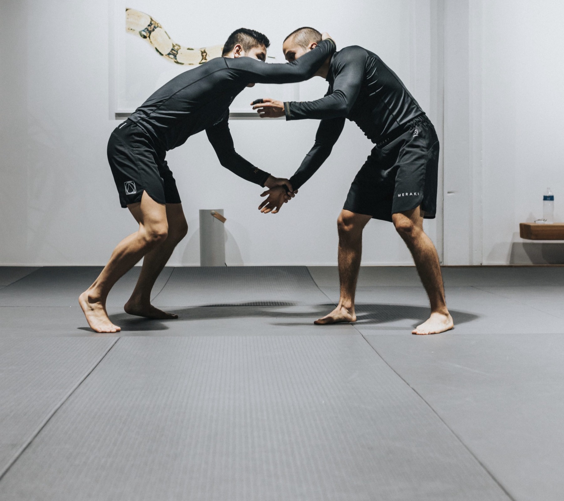 Luta Livre Training